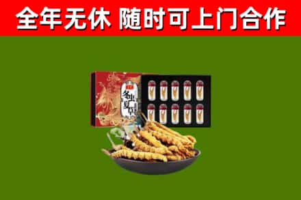 保定烟酒回收冬虫夏草礼盒.jpg